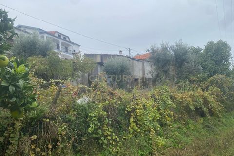 Helårsgrund i Covilha, Castelo Branco, Covilha - € 37.500 | Ref: C0473-00256 - foto 5