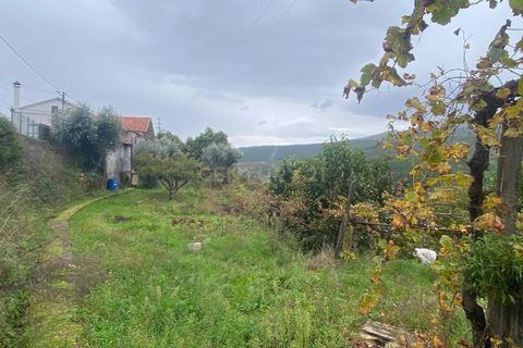 Helårsgrund i Covilha, Castelo Branco, Covilha - € 37.500 | Ref: C0473-00256 - foto 6