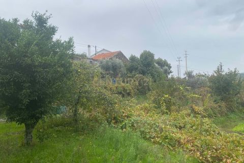 Helårsgrund i Covilha, Castelo Branco, Covilha - € 37.500 | Ref: C0473-00256 - foto 9