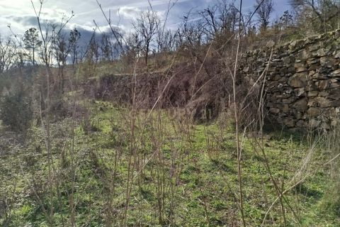 Tomt i Fundao, Castelo Branco, Fundao - € 49 000 | Ref: C0473-00260 - foto 4