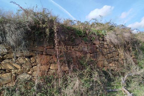 Tomt i Fundao, Castelo Branco, Fundao - € 49 000 | Ref: C0473-00260 - foto 7