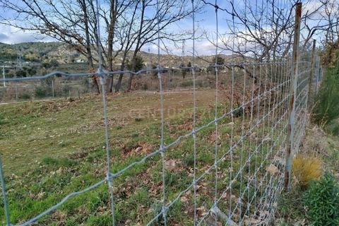 Tomt i Fundao, Castelo Branco, Fundao - € 49 000 | Ref: C0473-00260 - foto 15