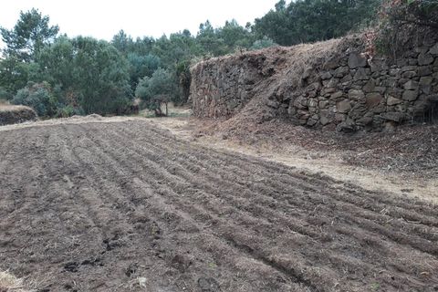 Tomt i Fundao, Castelo Branco, Fundao - € 49 000 | Ref: C0473-00260 - foto 17