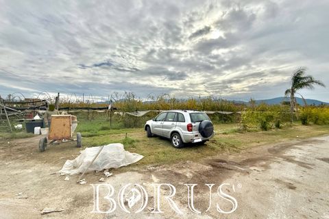 Farm i Sessa Aurunca, Caserta, Sessa Aurunca - € 780.000 | Ref: BR273 - foto 5