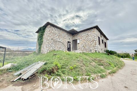 Farm i Sessa Aurunca, Caserta, Sessa Aurunca - € 780.000 | Ref: BR273 - foto 9
