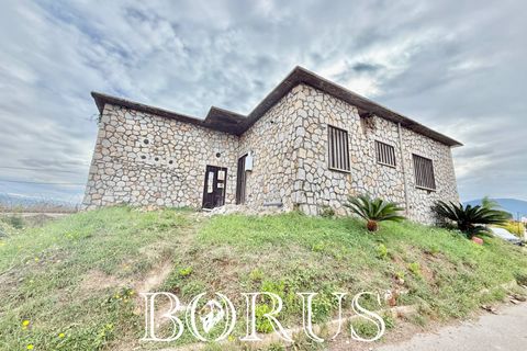 Farm i Sessa Aurunca, Caserta, Sessa Aurunca - € 780.000 | Ref: BR273 - foto 14