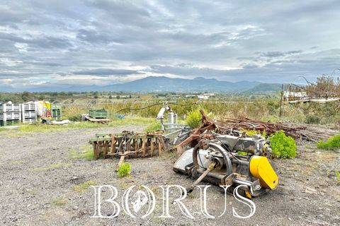 Farm i Sessa Aurunca, Caserta, Sessa Aurunca - € 780.000 | Ref: BR273 - foto 15