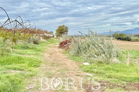 Farm i Sessa Aurunca, Caserta, Sessa Aurunca - € 780.000 | Ref: BR273 - foto 19