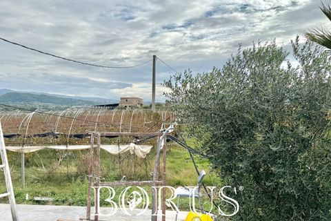 Farm i Sessa Aurunca, Caserta, Sessa Aurunca - € 780.000 | Ref: BR273 - foto 25