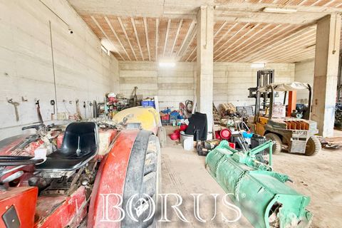 Farm i Sessa Aurunca, Caserta, Sessa Aurunca - € 780.000 | Ref: BR273 - foto 32