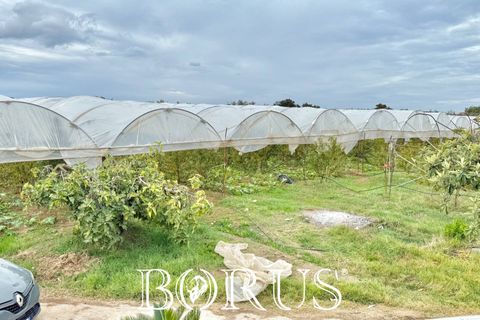 Farm i Sessa Aurunca, Caserta, Sessa Aurunca - € 780.000 | Ref: BR273 - foto 36