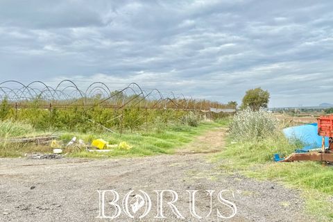 Farm i Sessa Aurunca, Caserta, Sessa Aurunca - € 780.000 | Ref: BR273 - foto 37