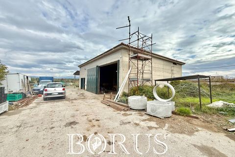 Farm i Sessa Aurunca, Caserta, Sessa Aurunca - € 780.000 | Ref: BR273 - foto 40