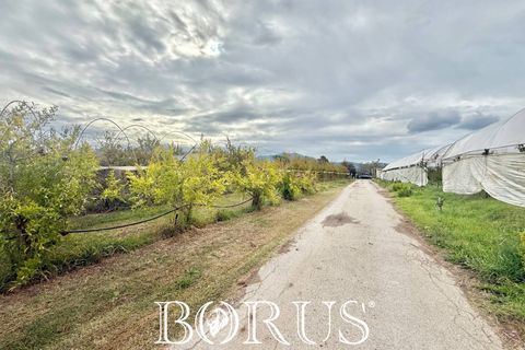 Farm i Sessa Aurunca, Caserta, Sessa Aurunca - € 780.000 | Ref: BR273 - foto 44