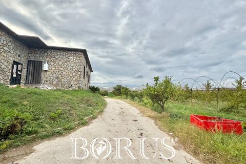 Farm i Sessa Aurunca, Caserta, Sessa Aurunca - € 780.000 | Ref: BR273 - foto 48