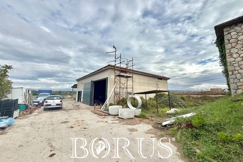 Farm i Sessa Aurunca, Caserta, Sessa Aurunca - € 780.000 | Ref: BR273 - foto 50