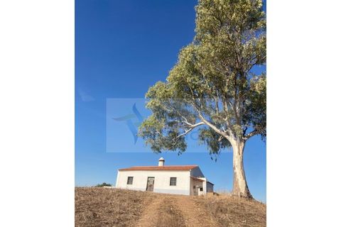 Herregård i Safara, Beja, Safara - € 5 500 000 | Ref: EXP_111 - foto 15