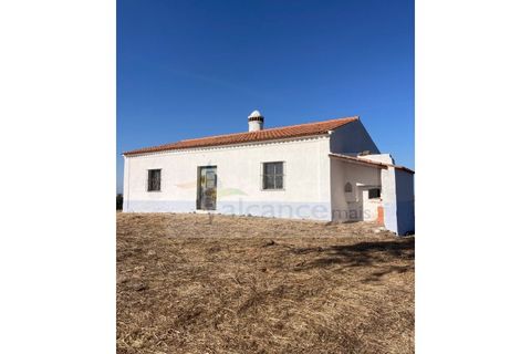 Herregård i Safara, Beja, Safara - € 5 500 000 | Ref: EXP_111 - foto 18