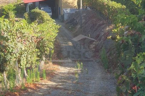 Farm i Vila Real, Vila Real, Vila Real - € 280.000 | Ref: 803251002 - foto 3