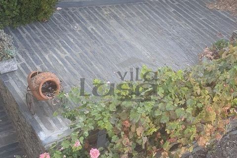 Farm i Vila Real, Vila Real, Vila Real - € 280.000 | Ref: 803251002 - foto 8