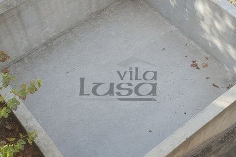 Farm i Vila Real, Vila Real, Vila Real - € 280.000 | Ref: 803251002 - foto 9