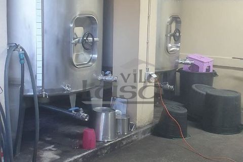 Farm i Vila Real, Vila Real, Vila Real - € 280.000 | Ref: 803251002 - foto 25