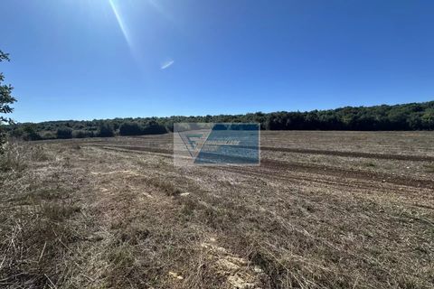 Lejlighed i Noto, Siracusa, Noto - € 60.000 | Ref: NT TCAM 32 - foto 1