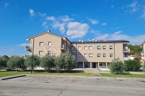 Leilighet i Sossano, Vicenza, Sossano - € 74 000 | Ref: SG13 - foto 6