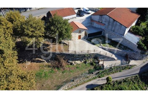 Farm i Sever do Vouga, Aveiro, Sever do Vouga - € 139.000 | Ref: QTA_01255301 - foto 1