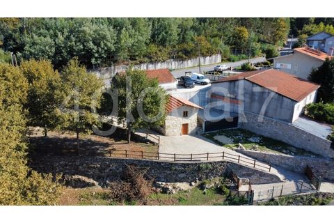 Farm i Sever do Vouga, Aveiro, Sever do Vouga - € 139.000 | Ref: QTA_01255301 - foto 2