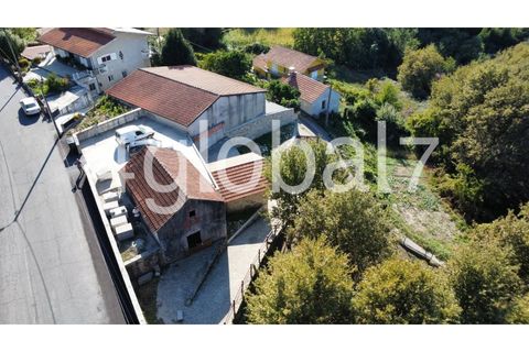 Farm i Sever do Vouga, Aveiro, Sever do Vouga - € 139.000 | Ref: QTA_01255301 - foto 4
