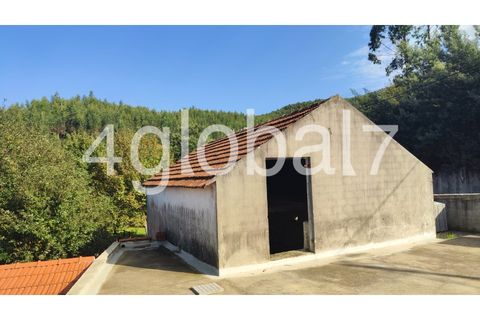 Farm i Sever do Vouga, Aveiro, Sever do Vouga - € 139.000 | Ref: QTA_01255301 - foto 8