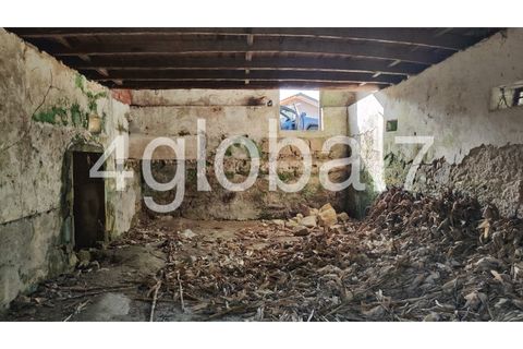 Farm i Sever do Vouga, Aveiro, Sever do Vouga - € 139.000 | Ref: QTA_01255301 - foto 9