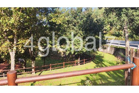 Farm i Sever do Vouga, Aveiro, Sever do Vouga - € 139.000 | Ref: QTA_01255301 - foto 11