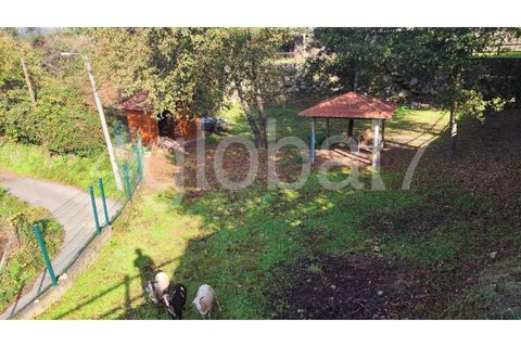 Farm i Sever do Vouga, Aveiro, Sever do Vouga - € 139.000 | Ref: QTA_01255301 - foto 12