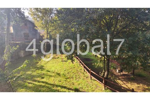 Farm i Sever do Vouga, Aveiro, Sever do Vouga - € 139.000 | Ref: QTA_01255301 - foto 14