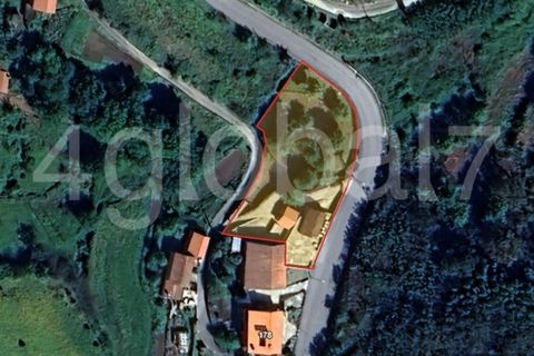 Farm i Sever do Vouga, Aveiro, Sever do Vouga - € 139.000 | Ref: QTA_01255301 - foto 15
