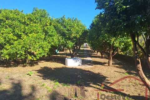 Villa i Cadaval, Lisbon, Cadaval - € 280.000 | Ref: 039-2025 - foto 7