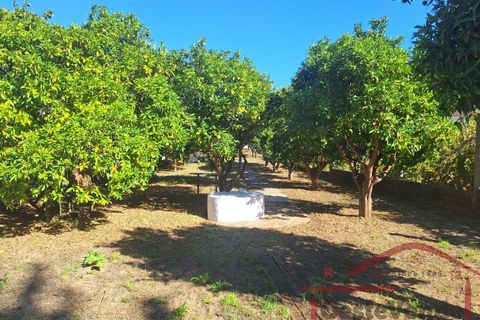 Villa i Cadaval, Lisbon, Cadaval - € 280.000 | Ref: 039-2025 - foto 8
