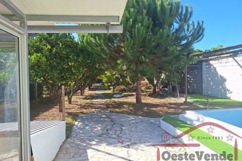 Villa i Cadaval, Lisbon, Cadaval - € 280.000 | Ref: 039-2025 - foto 14