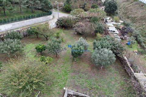 Villa a Paredes, Porto, Paredes - € 565.000 | Ref: 3779 - foto 49