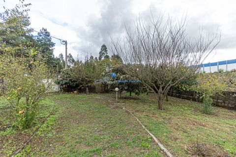 Villa a Paredes, Porto, Paredes - € 565.000 | Ref: 3779 - foto 50