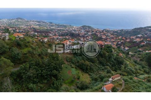 Helårsgrund i Camara de Lobos, Madeira, Camara de Lobos - € 15.000 | Ref: JS03-T057 - foto 5