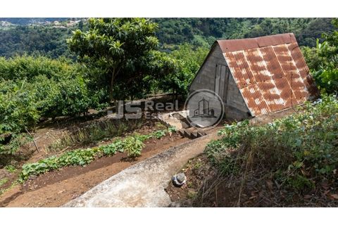 Helårsgrund i Santana, Madeira, Santana - € 180.000 | Ref: JS05-T024 - foto 1