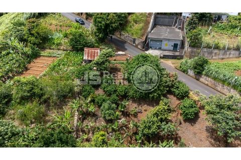 Helårsgrund i Santana, Madeira, Santana - € 180.000 | Ref: JS05-T024 - foto 3