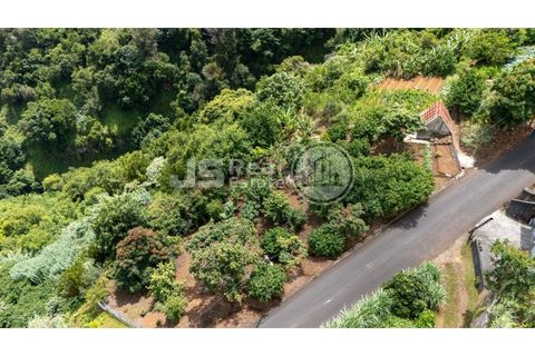Helårsgrund i Santana, Madeira, Santana - € 180.000 | Ref: JS05-T024 - foto 4