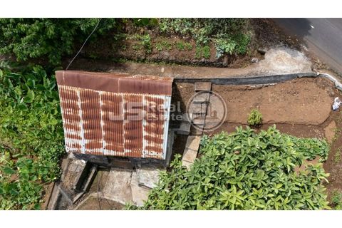 Helårsgrund i Santana, Madeira, Santana - € 180.000 | Ref: JS05-T024 - foto 5