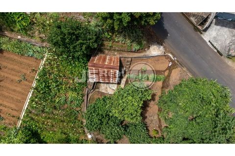 Helårsgrund i Santana, Madeira, Santana - € 180.000 | Ref: JS05-T024 - foto 6