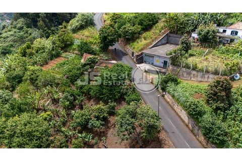 Helårsgrund i Santana, Madeira, Santana - € 180.000 | Ref: JS05-T024 - foto 7