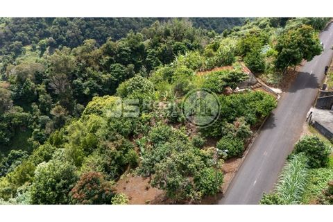 Helårsgrund i Santana, Madeira, Santana - € 180.000 | Ref: JS05-T024 - foto 8